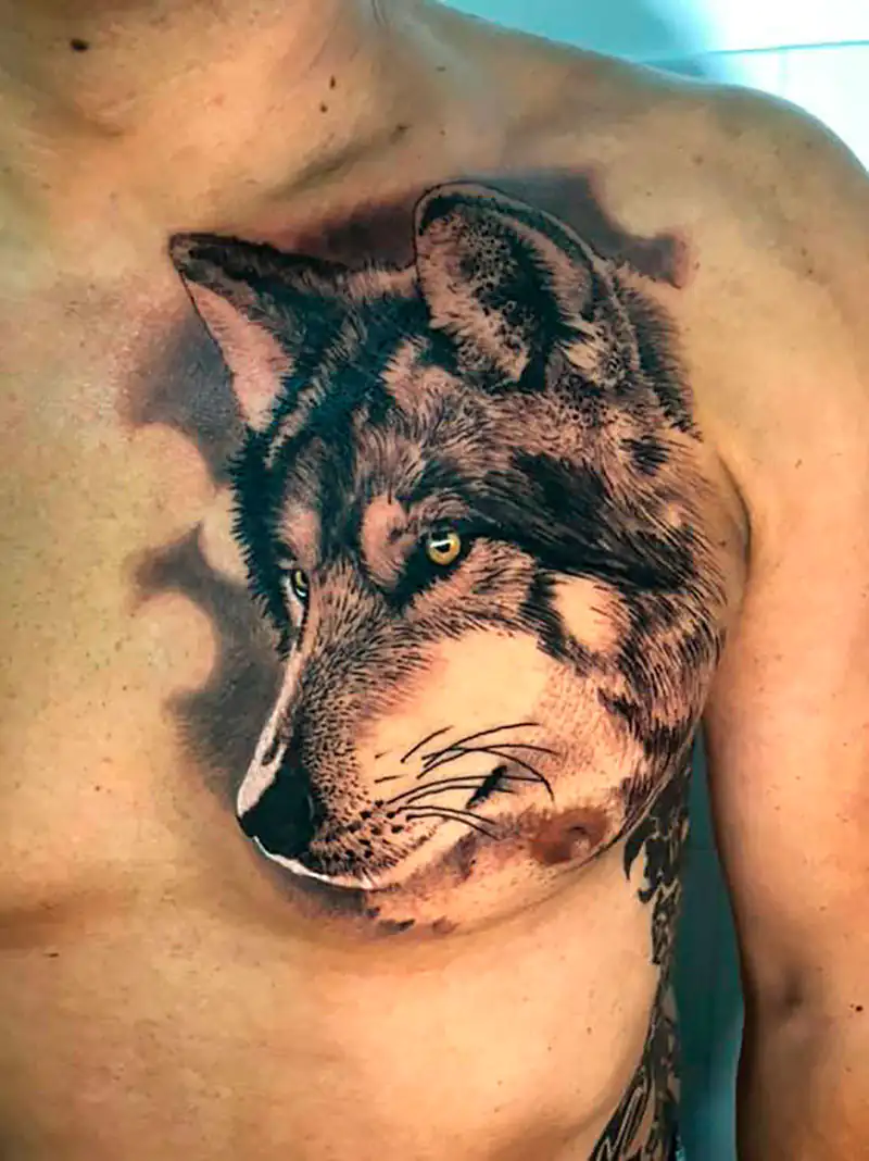 Lobo