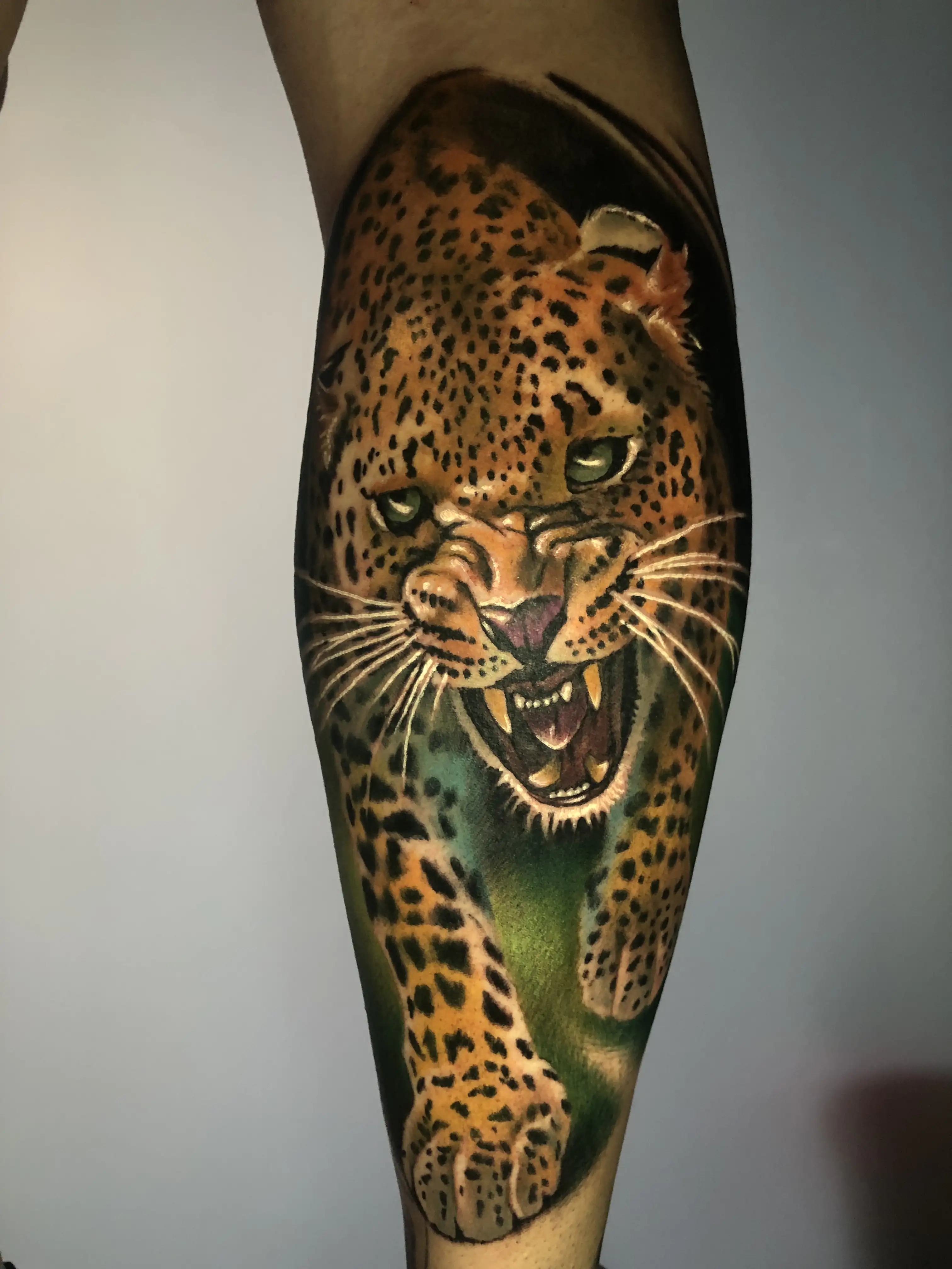 leopardo