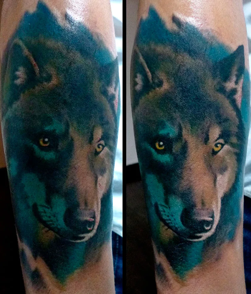 Lobo